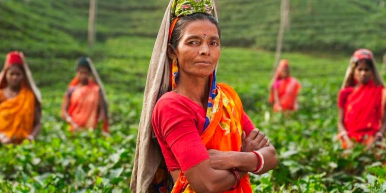 Women looking at camera in a field, other women in the background