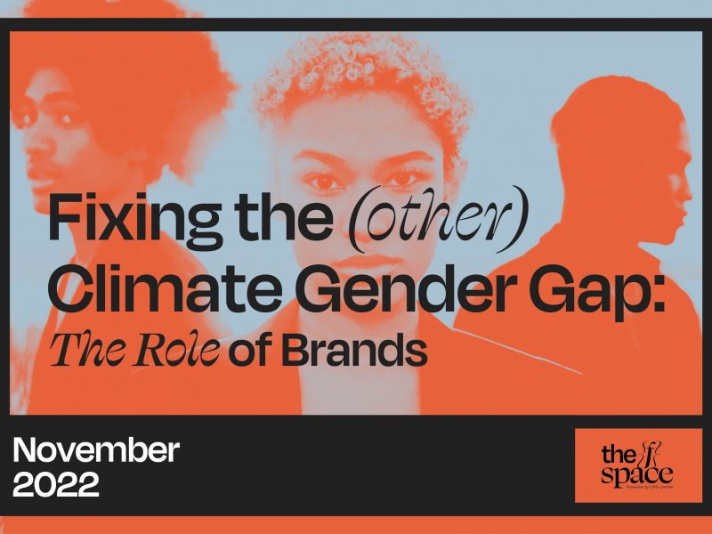 The (other) Climate Gender Gap